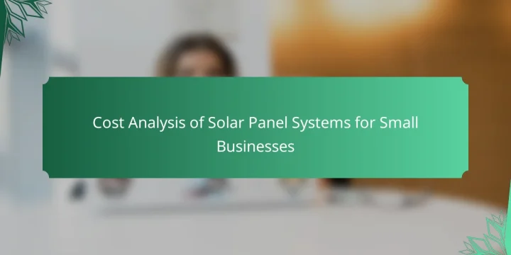 Cost Analysis of Solar Panel Systems for Small Businesses