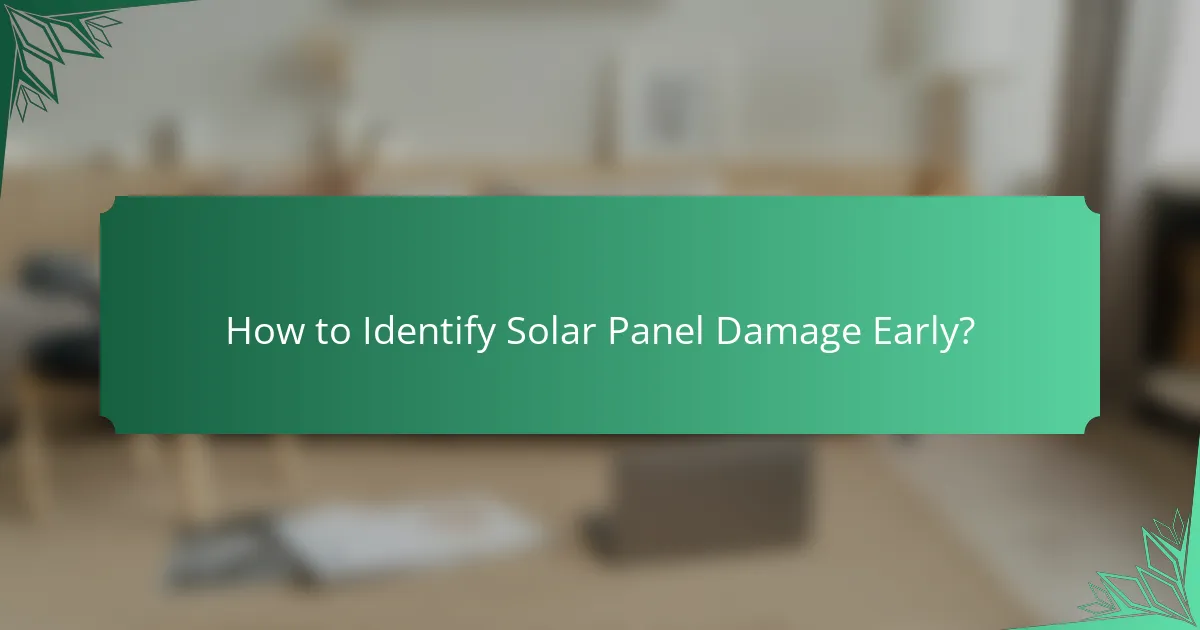 How to Identify Solar Panel Damage Early?