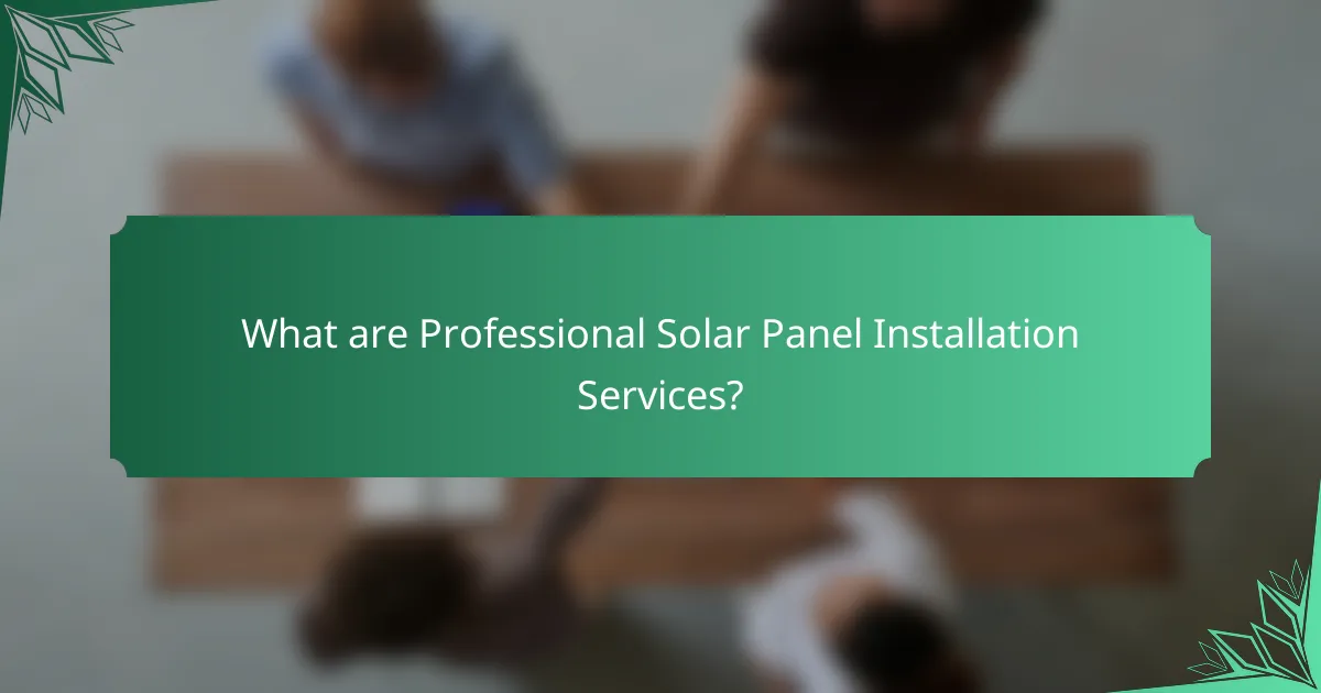 What are Professional Solar Panel Installation Services?