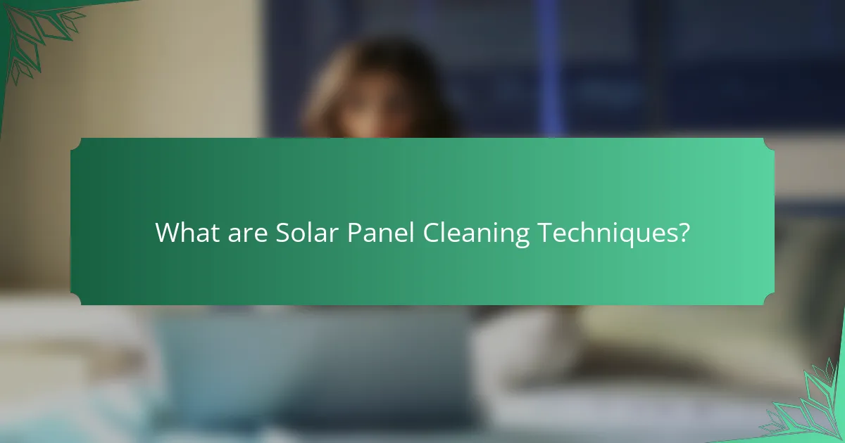 What are Solar Panel Cleaning Techniques?