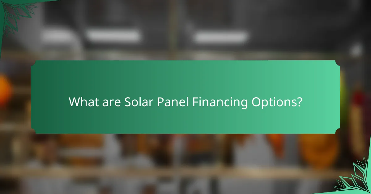 What are Solar Panel Financing Options?