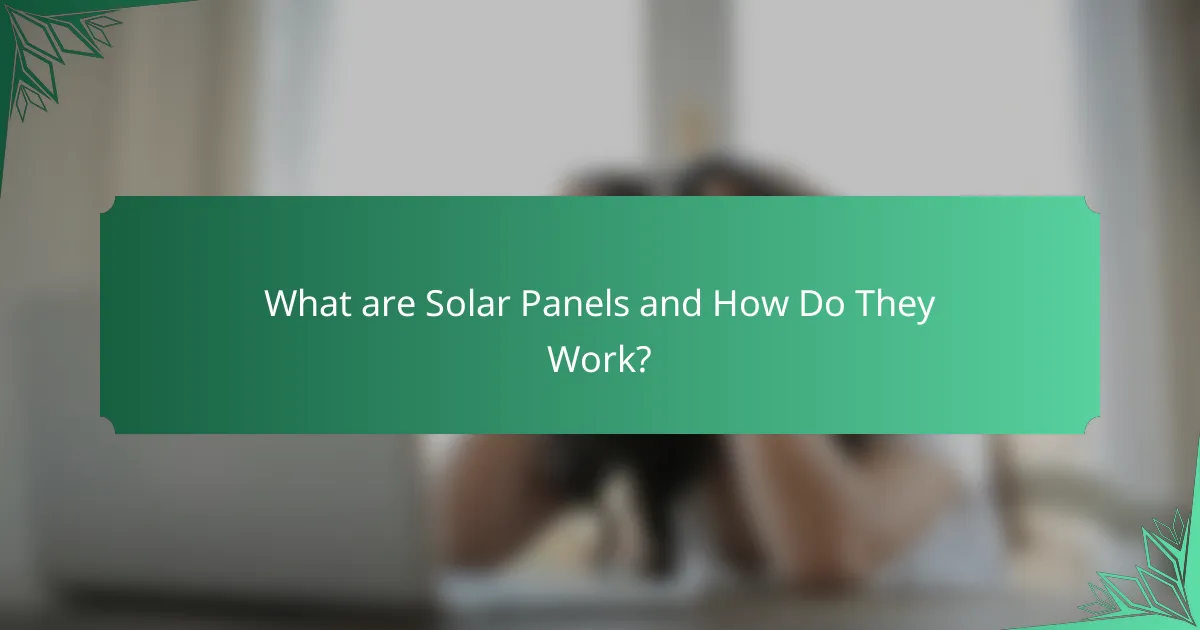 What are Solar Panels and How Do They Work?
