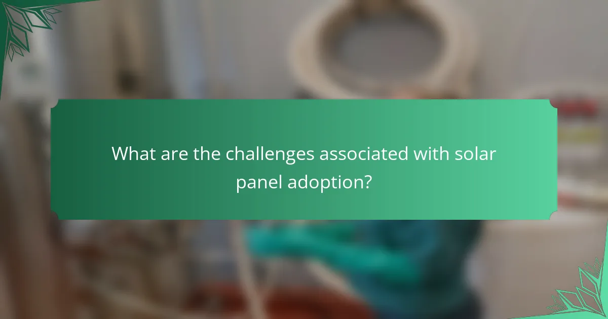 What are the challenges associated with solar panel adoption?
