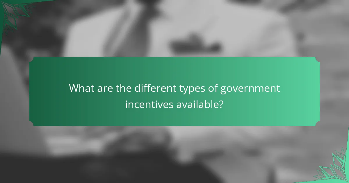 What are the different types of government incentives available?