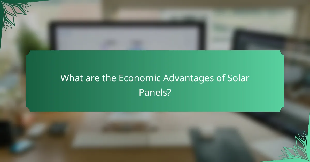 What are the Economic Advantages of Solar Panels?