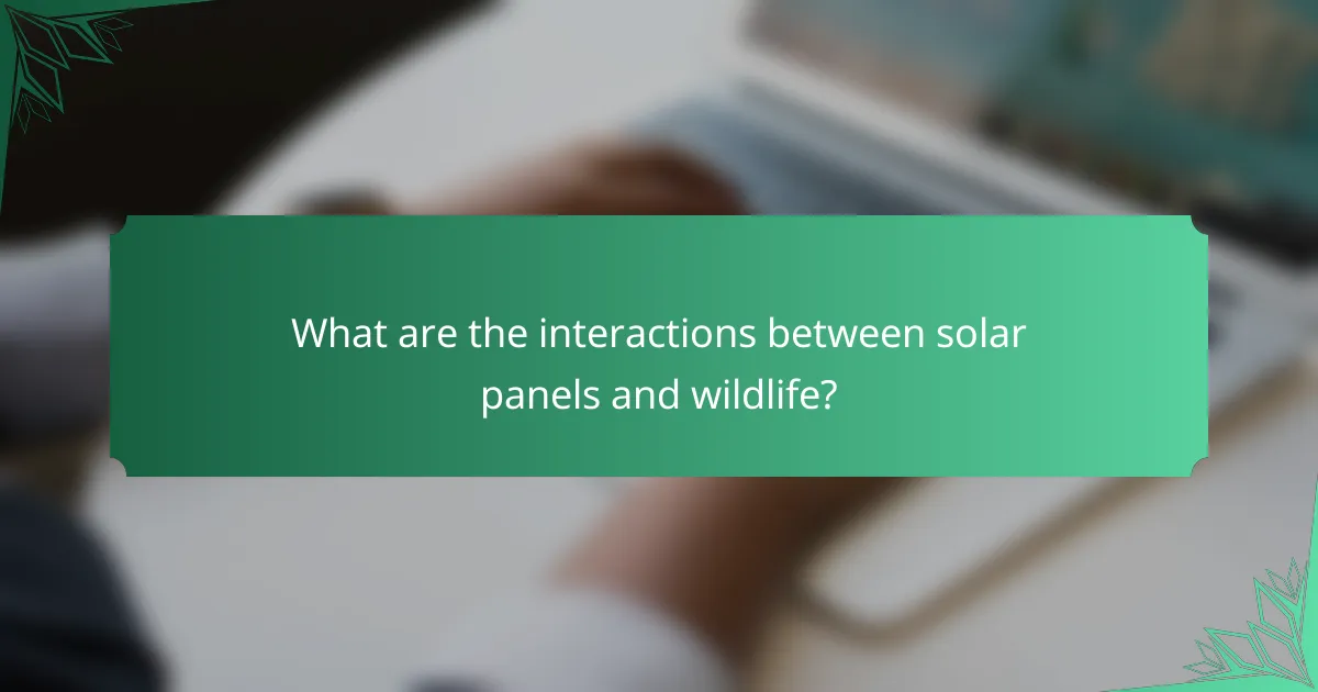 What are the interactions between solar panels and wildlife?