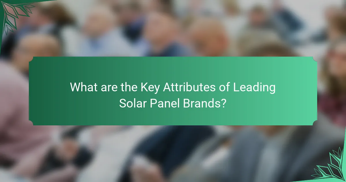 What are the Key Attributes of Leading Solar Panel Brands?