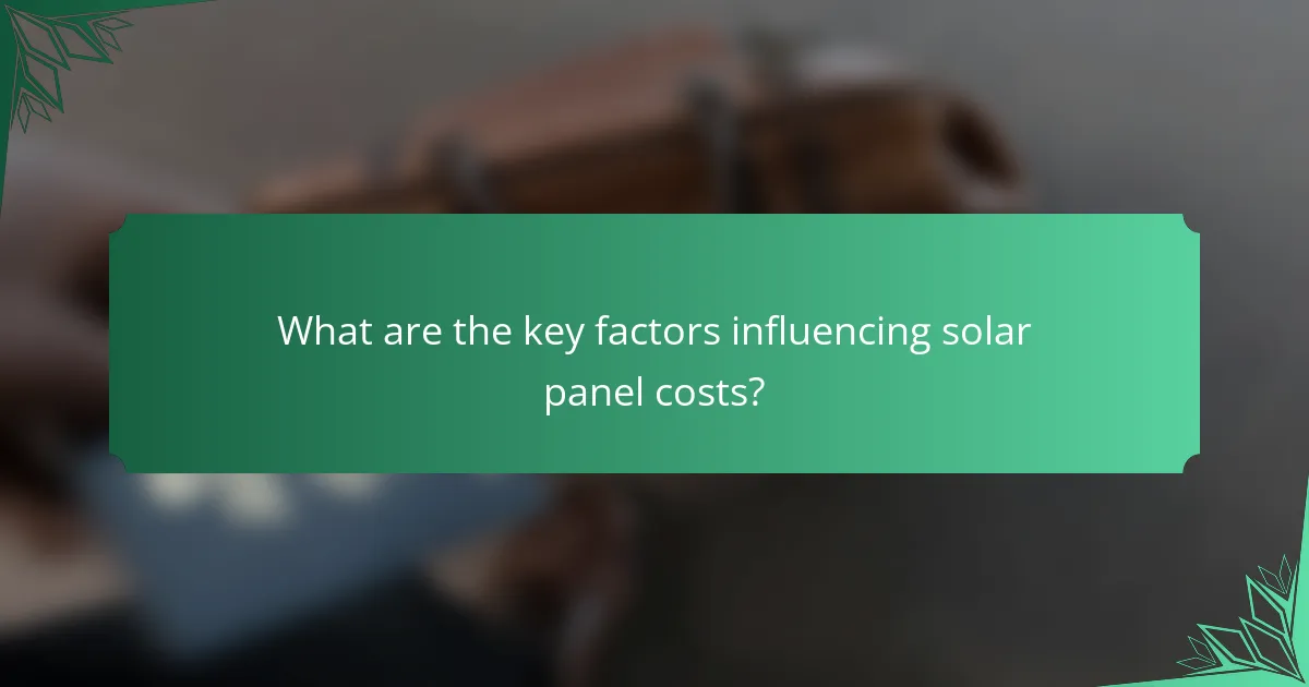 What are the key factors influencing solar panel costs?