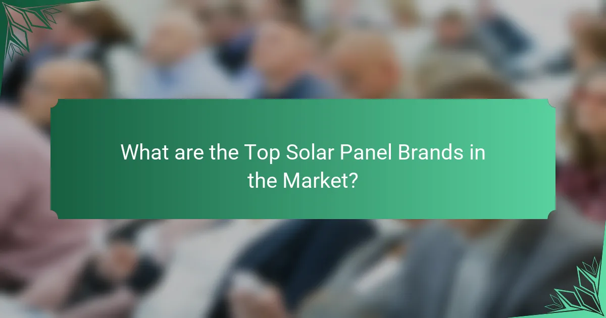 What are the Top Solar Panel Brands in the Market?