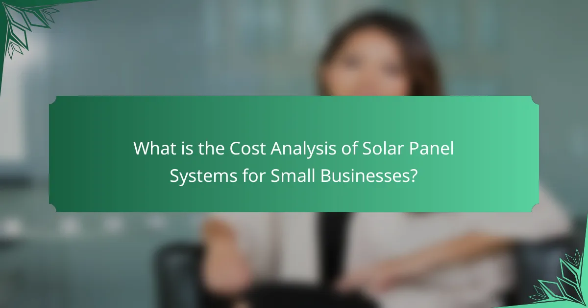 What is the Cost Analysis of Solar Panel Systems for Small Businesses?