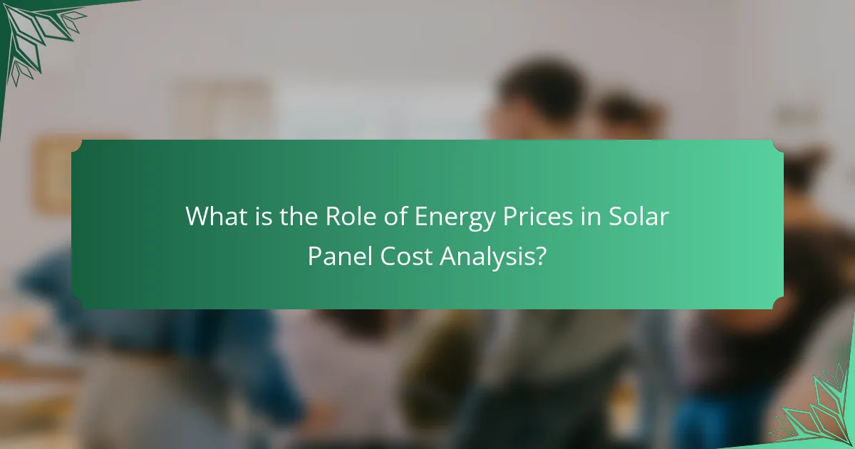 What is the Role of Energy Prices in Solar Panel Cost Analysis?